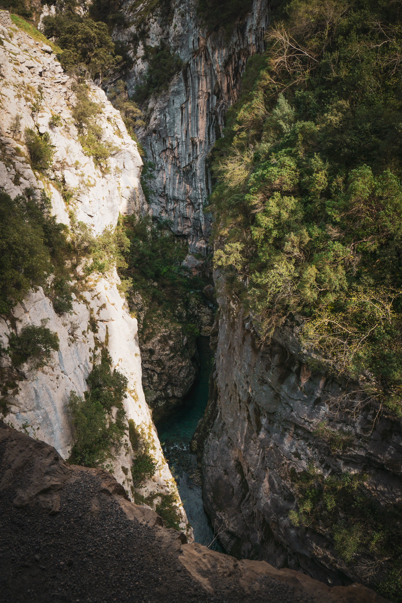 Picos de Europa photo 14